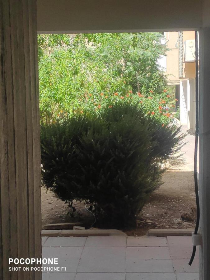 סוויטה של אלון Lägenhet Arad Exteriör bild
